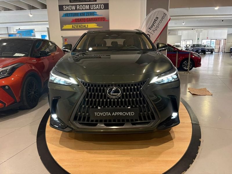 Lexus NX Hybrid Luxury 4WD usato a Torino
