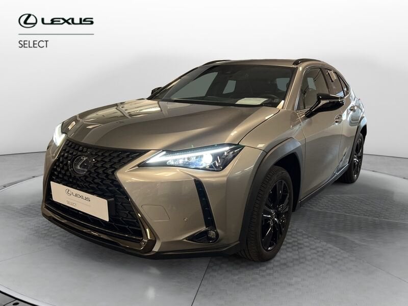 Lexus UX Hybrid 4WD Midnight  usato a Torino