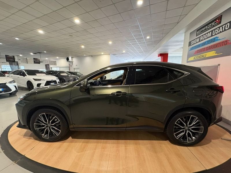 Lexus NX Hybrid Luxury 4WD usato a Torino
