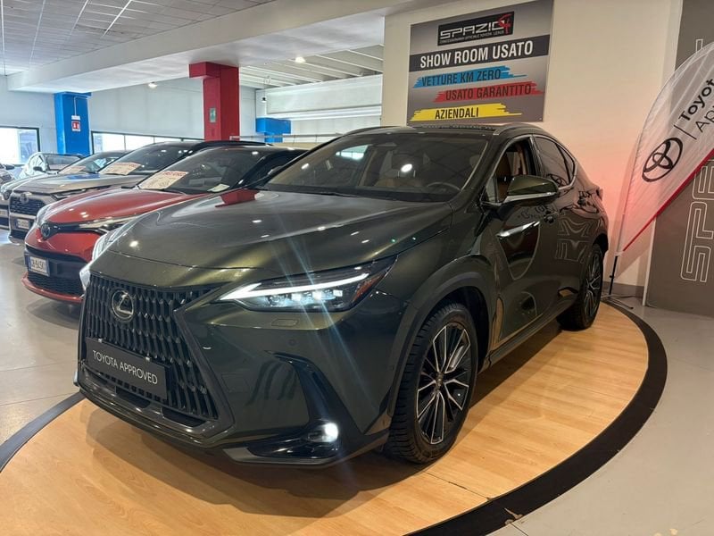 Lexus NX Hybrid Luxury 4WD  usato a Torino