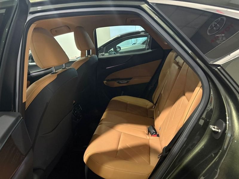 Lexus NX Hybrid Luxury 4WD usato a Torino