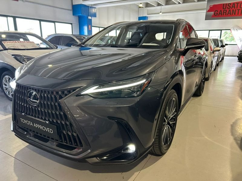 Lexus NX Plug-in Luxury 4WD MY22  usato a Torino