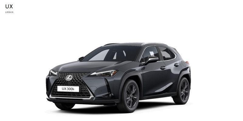Lexus UX 300h Urban