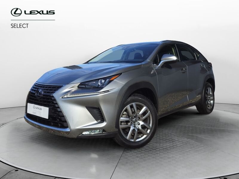 Lexus NX Hybrid Business