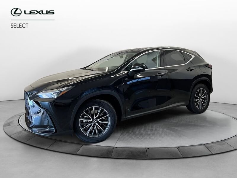 Lexus NX NX Plug-in 4WD Premium