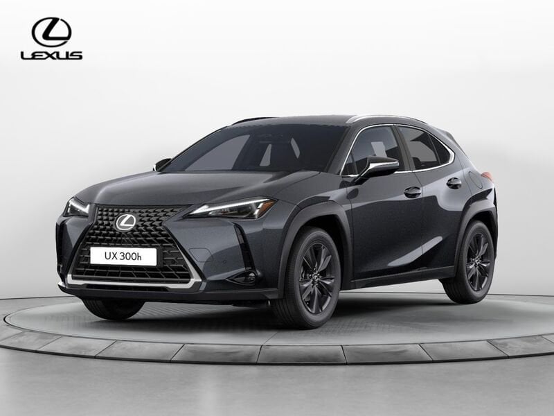 Lexus UX 300h Urban