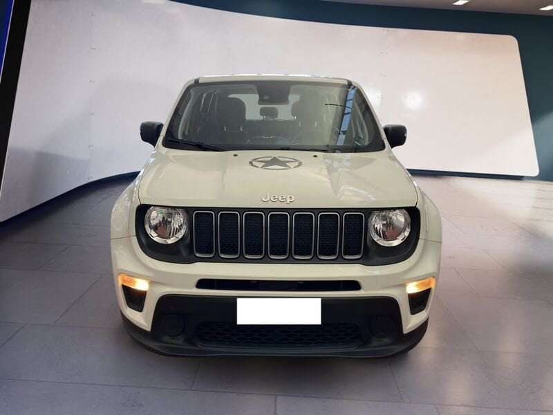 Jeep Renegade 2019 1.0 t3 Limited 2wd  usato a Torino