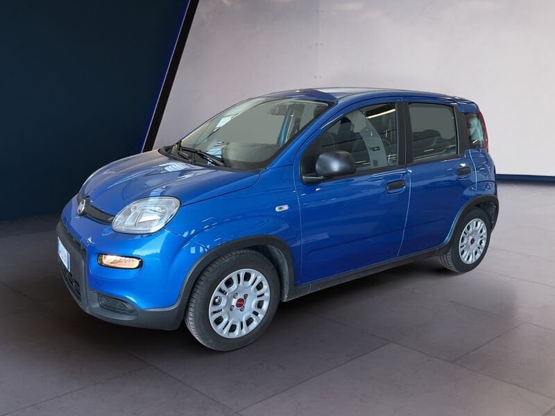 FIAT Panda My24 1.0 70cv Hybrid Panda usato a Torino