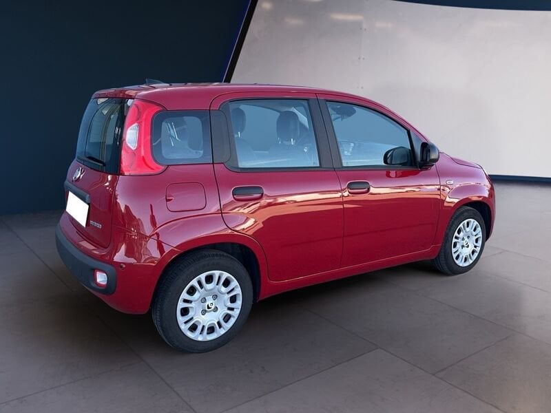 FIAT Pandina Panda My25 1.0 70cv Hybrid Panda usato a Torino