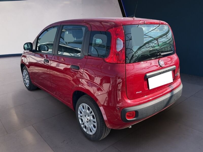 FIAT Pandina Panda My25 1.0 70cv Hybrid Panda ibrida usato a Torino