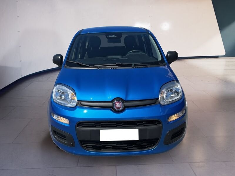 FIAT Pandina Panda My25 1.0 70cv Hybrid Panda  usato a Torino