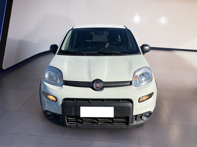 FIAT Panda III Van 2021 van 1.0 hybrid Street 70cv 4p.ti serie 4 E6d  usato a Torino
