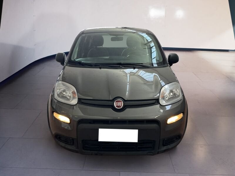 FIAT Panda III 2021 1.0 firefly hybrid s&s 70cv  usato a Torino