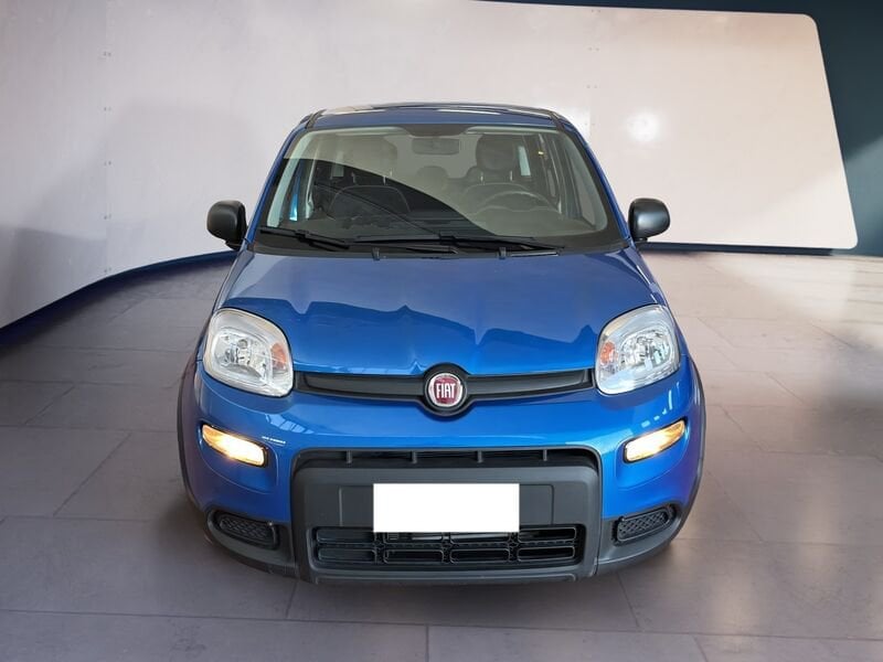 FIAT Panda My24 1.0 70cv Hybrid Panda  usato a Torino