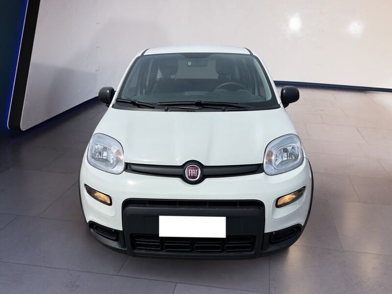 FIAT Panda My23 1.0 70cv Hybrid Panda  usato a Torino