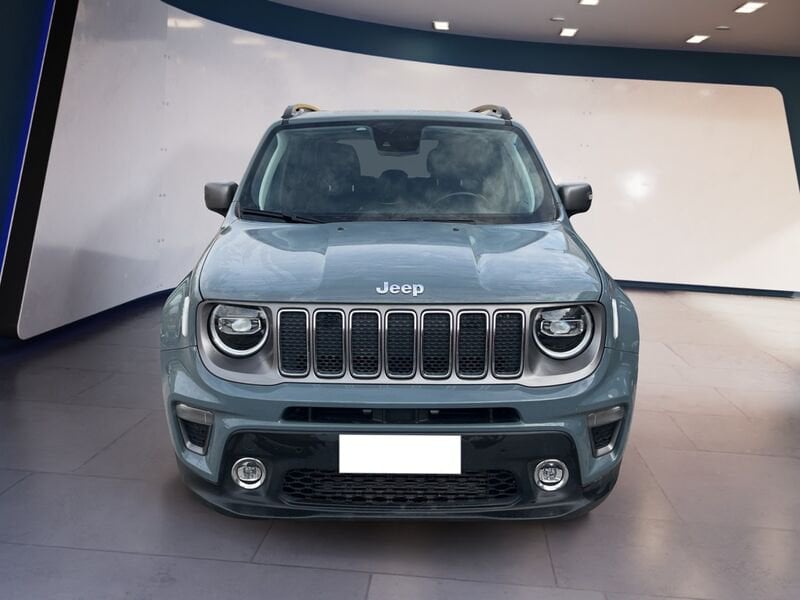 Jeep Renegade 2019 1.6 mjt Limited fwd  usato a Torino