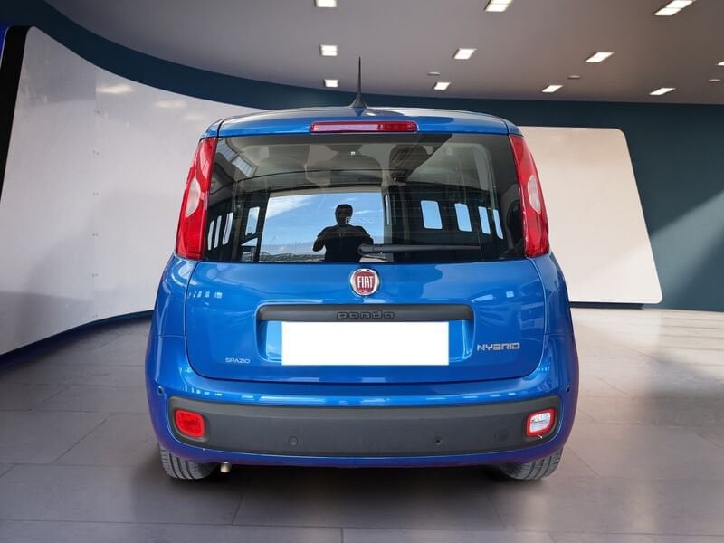 FIAT Pandina Panda My25 1.0 70cv Hybrid Panda usato a Torino