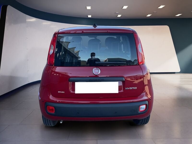 FIAT Pandina Panda My25 1.0 70cv Hybrid Panda usato a Torino