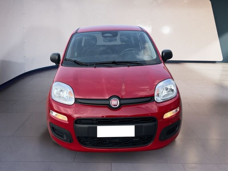 FIAT Pandina Panda My25 1.0 70cv Hybrid Panda ibrida usato a Torino