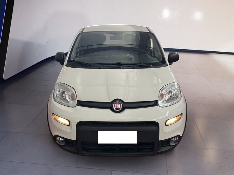 FIAT Panda III Van 2021 van 1.0 hybrid Street 70cv 4p.ti serie 4 E6d  usato a Torino