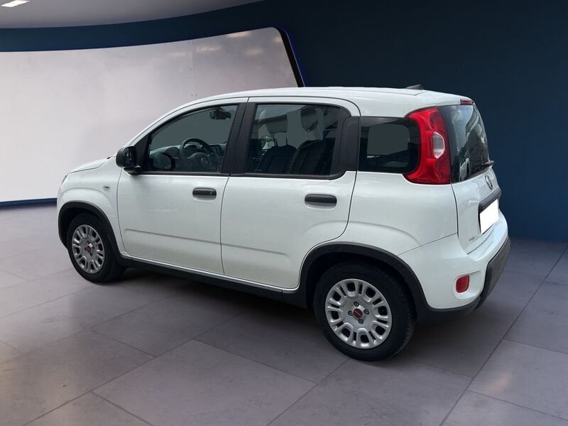 FIAT Panda III 2021 1.0 firefly hybrid s&s 70cv usato a Torino