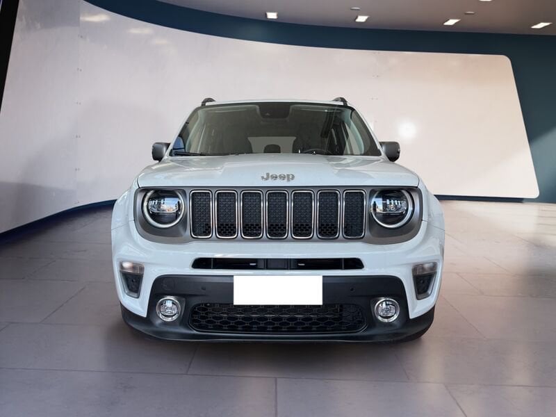 Jeep Renegade 2019 1.0 t3 Limited fwd  usato a Torino