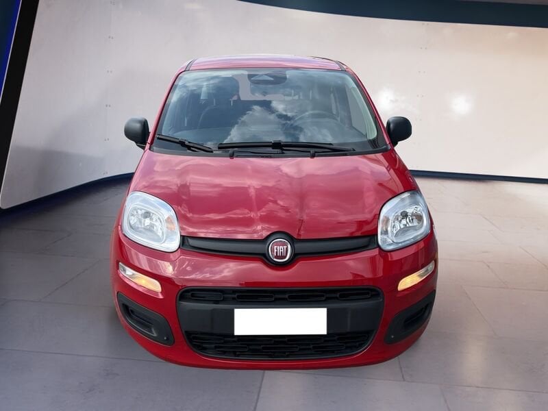 FIAT Pandina Panda My25 1.0 70cv Hybrid Panda  usato a Torino