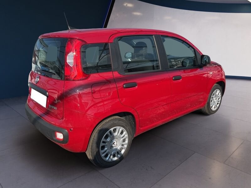 FIAT Pandina Panda My25 1.0 70cv Hybrid Panda ibrida usato a Torino
