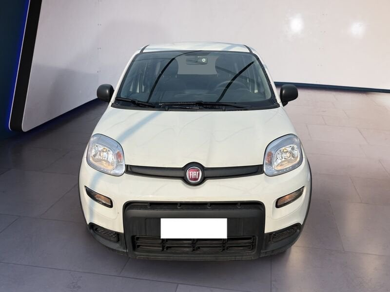 FIAT Panda My23 1.0 70cv Hybrid Panda  usato a Torino