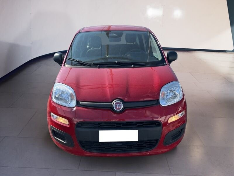 FIAT Pandina Panda My25 1.0 70cv Hybrid Panda ibrida usato a Torino