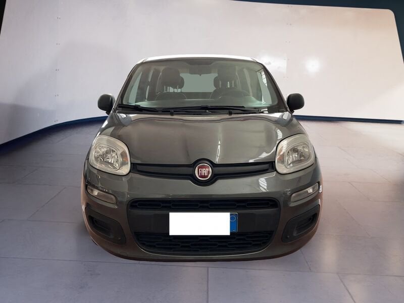 FIAT Panda III 2016 1.2 Easy easypower Gpl 69cv my19  usato a Torino