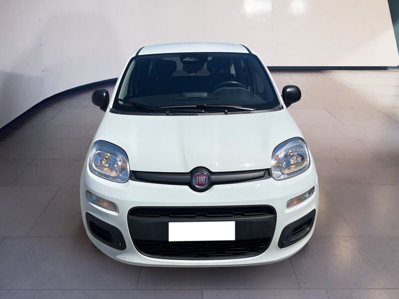 FIAT Pandina Panda My25 1.0 70cv Hybrid Panda  usato a Torino