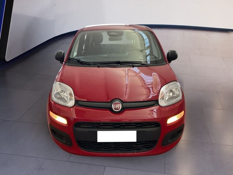 FIAT Pandina Panda My25 1.0 70cv Hybrid Panda ibrida usato a Torino
