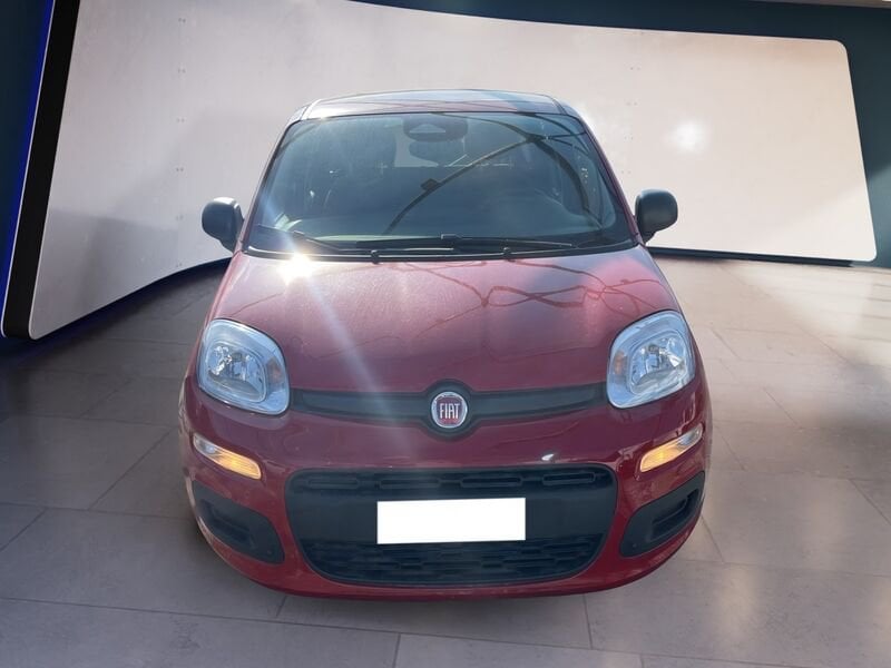 FIAT Panda My25 1.0 70cv Hybrid Panda ibrida usato a Torino