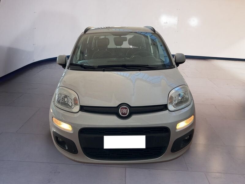 FIAT Panda III 2016 1.2 Lounge s&s 69cv my19  usato a Torino