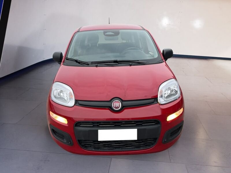 FIAT Pandina Panda My25 1.0 70cv Hybrid Panda ibrida usato a Torino
