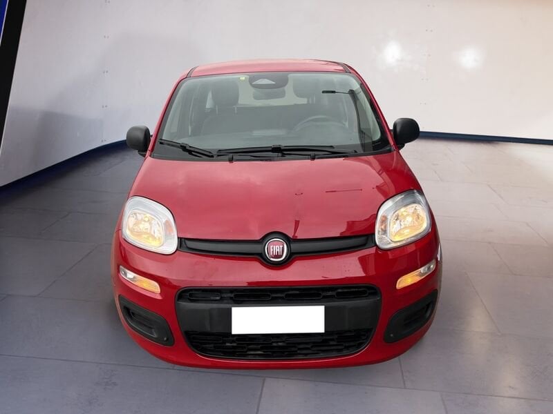 FIAT Pandina Panda My25 1.0 70cv Hybrid Panda ibrida usato a Torino