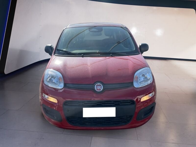 FIAT Panda My25 1.0 70cv Hybrid Panda ibrida usato a Torino