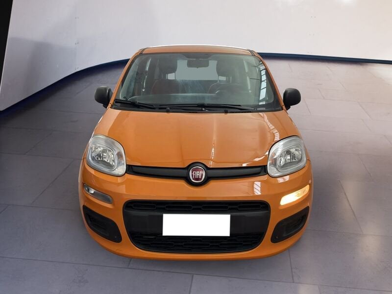 FIAT Panda III 2016 1.2 Easy s&s 69cv my19  usato a Torino