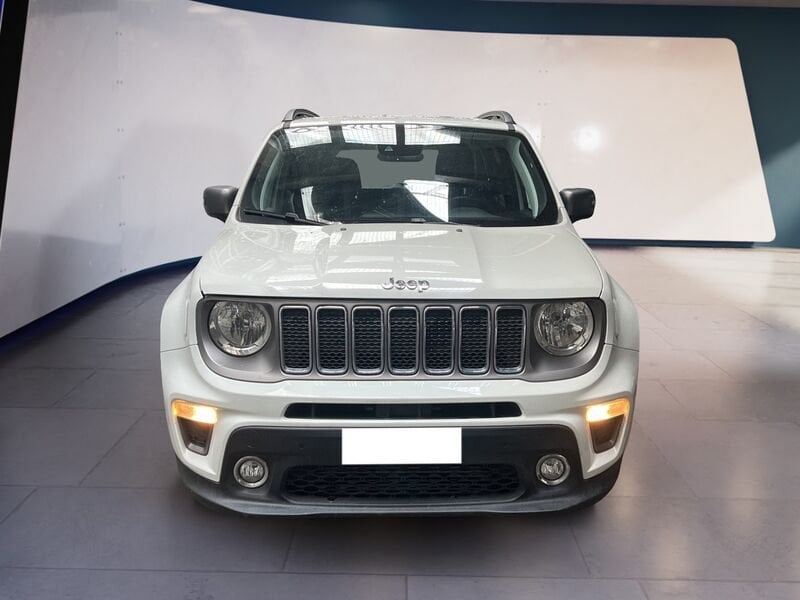 Jeep Renegade 2019 1.6 mjt Limited fwd  usato a Torino