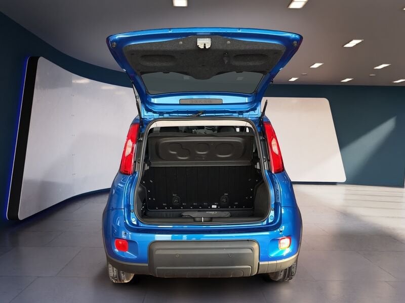 FIAT Panda 1.0 70cv Hybrid Panda usato a Torino