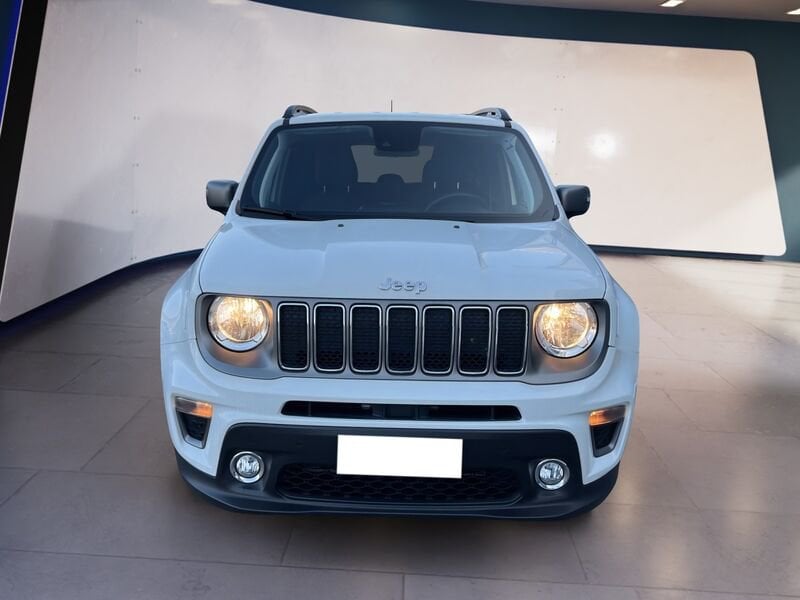 Jeep Renegade 2019 1.0 t3 Limited fwd  usato a Torino
