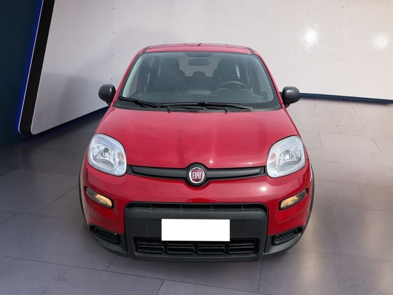 FIAT Panda My24 1.0 70cv Hybrid Panda  usato a Torino