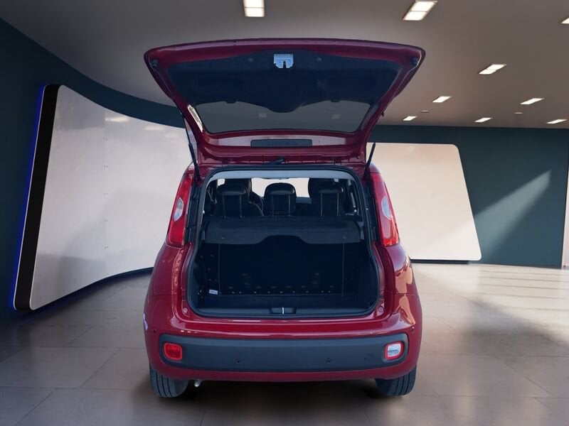 FIAT Pandina Panda My25 1.0 70cv Hybrid Panda usato a Torino