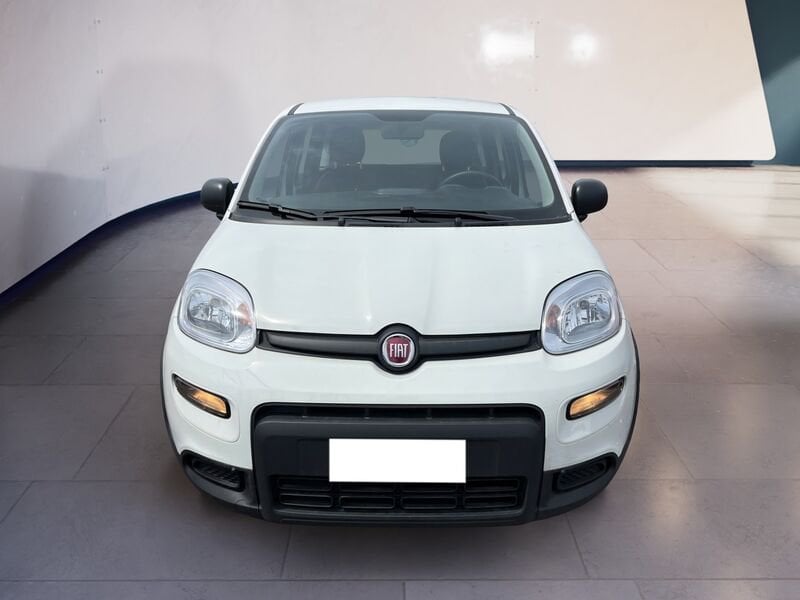 FIAT Panda My23 1.0 70cv Hybrid Panda  usato a Torino
