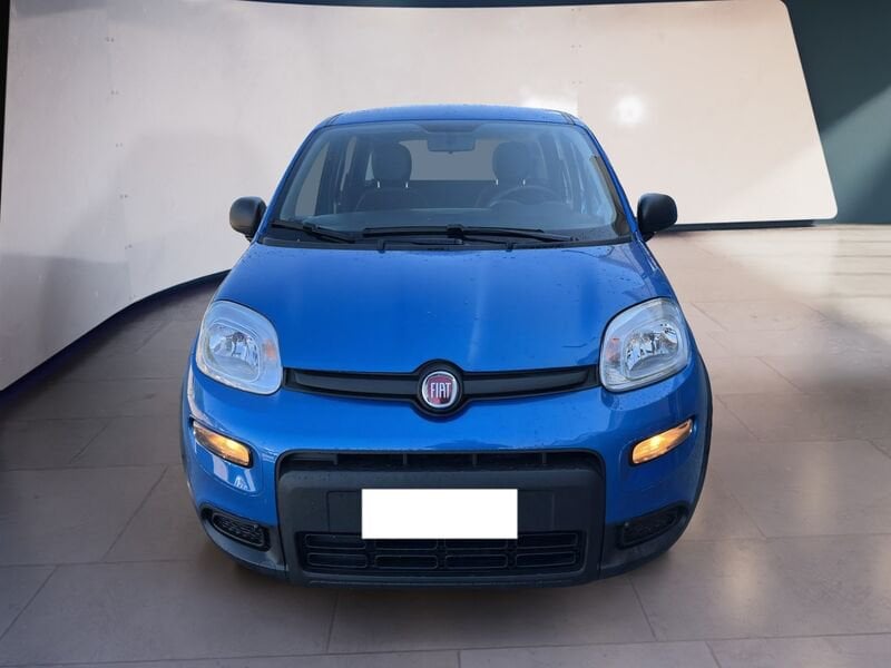 FIAT Panda My24 1.0 70cv Hybrid Panda  usato a Torino
