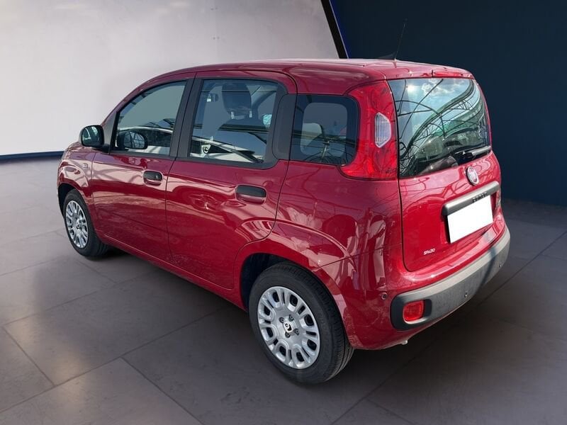 FIAT Pandina Panda My25 1.0 70cv Hybrid Panda ibrida usato a Torino