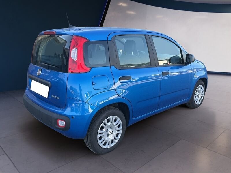 FIAT Pandina Panda My25 1.0 70cv Hybrid Panda ibrida usato a Torino