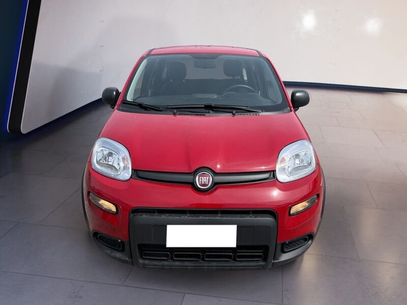 FIAT Panda My24 1.0 70cv Hybrid Panda  usato a Torino
