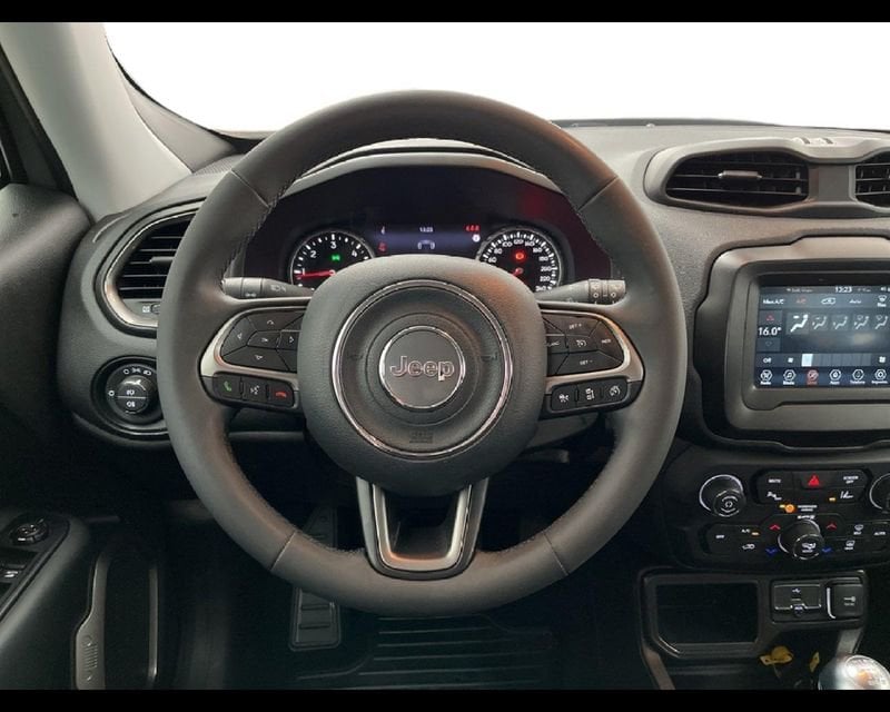 Jeep Renegade 2019 1.6 mjt Limited 2wd 130cv  usato a Torino